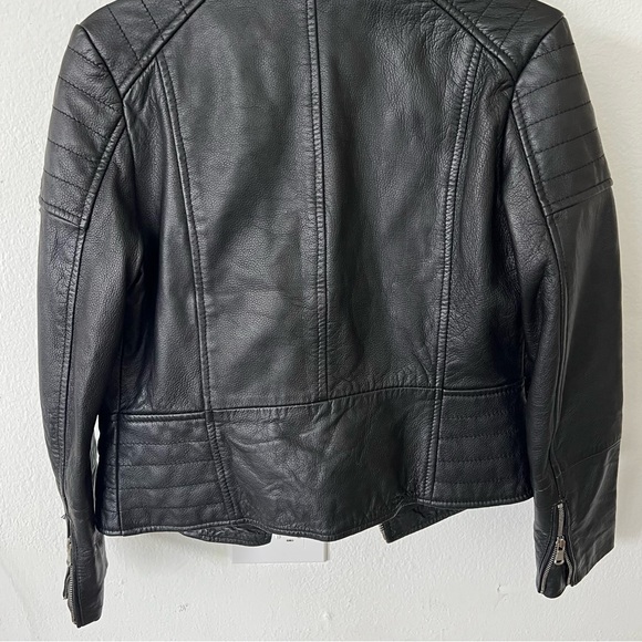 Leather biker jacket - Picture 14 of 16